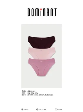 Koza Biat Büyük Beden Kadın Yüksek Bel Bato Slip Külot Renkli 3 Adet Koza Biat KZ55000-611 - Alternatif Görünüm