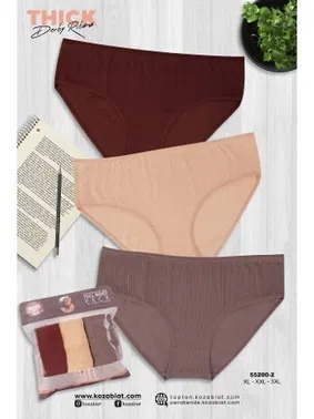 Koza Biat Renkli Büyük Beden Pamuklu 3 Adet Bato Külot Koza Biat KZ55200-2 - Alternatif Görünüm