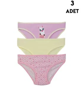 Koza Biat Kız Çocuk Külot Slip 3lü Koza Biat KZ76500-265