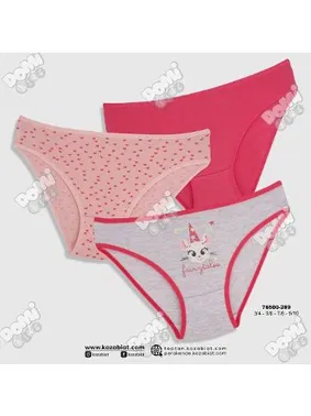 Koza Biat Renkli 3 Adet Kız Çocuk Slip Külot Koza Biat KZ76500-289 - Alternatif Görünüm