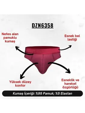 Darkzone Lastikli Bordo Erkek Slip  Darkzone DZN6358 - Alternatif Görünüm