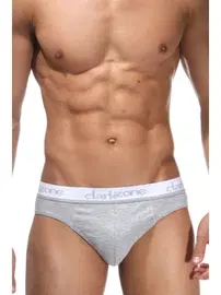 Darkzone Lastikli Gri Erkek Slip  Darkzone DZN6303