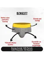 Lastikli Gri Erkek Slip  Darkzone DZN6377 farklı açı