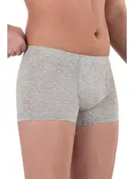 Özkan 12024 Gri Erkek Pamuklu Likralı Süprem Esnek Rahat Boxer Şort Gri görsel 4