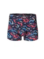 Renkli Ejderha Desenli Erkek Boxer Doreanse 1857 Lacivert