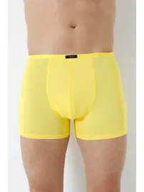 Arma Yıldız Sari Erkek Bambu Boxer Ince Bel Lastikli Arma Yıldız 1190 - 5 ADET