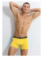 Sarı Pamuklu Strech Cotton Erkek Boxer Wooster W-075 - 3 Adet Sarı