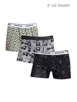 Strech Cotton Pamuklu 3'lü Boxer Seti Wooster W-204 Görsel