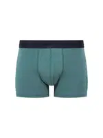 U.S. Polo Assn. Erkek 3Lü Erkek Boxer 80504 Yeşil görsel 8