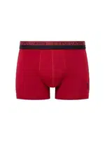 U.S. Polo Assn. Karıkşık Renk Erkek 3Lü Boxer 80522 Bordo görsel 8