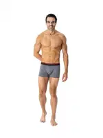 U.S. Polo Assn. Karıkşık Renk Erkek 3Lü Boxer 80522 görsel 9