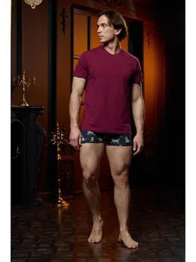 Darkzone V Yaka Bordo Erkek T-shirt Darkzone DZN8620