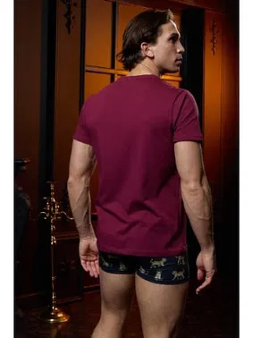 Darkzone V Yaka Bordo Erkek T-shirt Darkzone DZN8620 - Alternatif Görünüm