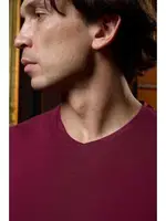 V Yaka Bordo Erkek T-shirt Darkzone DZN8620 görsel 4