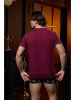 V Yaka Bordo Erkek T-shirt Darkzone DZN8620 görsel 8