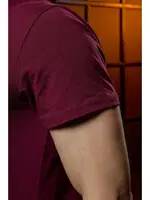 V Yaka Bordo Erkek T-shirt Darkzone DZN8620 görsel 9