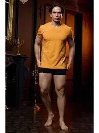 Darkzone V Yaka Sarı Erkek T-shirt Darkzone DZN8622