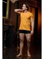 V Yaka Sarı Erkek T-shirt Darkzone DZN8622 görsel 5