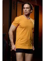 V Yaka Sarı Erkek T-shirt Darkzone DZN8622 görsel 6