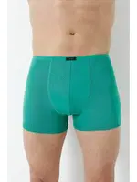 Yeşil Erkek Bambu Boxer Ince Bel Lastikli Arma Yıldız 1190 - 5 ADET Yeşil
