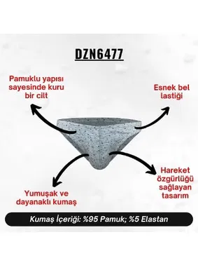 Darkzone Yıldız Desenli Gri Erkek Slip  Darkzone DZN6477 - Alternatif Görünüm