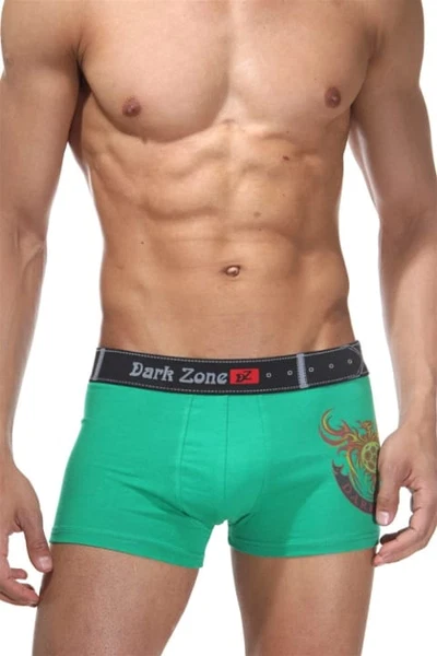 Alev Desenli Yeşil Erkek Boxer Darkzone DZN5005