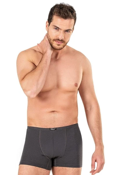 Antrasit Erkek Pamuklu Modal Boxer Özkan 11897