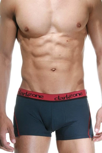 Bordo Çizgili Füme Erkek Boxer Darkzone DZN3111