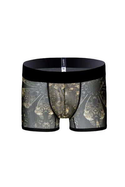 Desenli Transparan Erkek Kısa Boxer Darkzone DZN3254