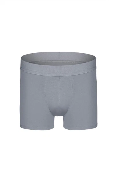 Erkek Gri Organik Pamuk Boxer Darkzone DZN2153