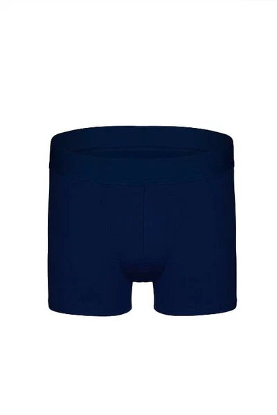 Erkek Lacivert Mikro Modal Boxer Darkzone DZNMC2004