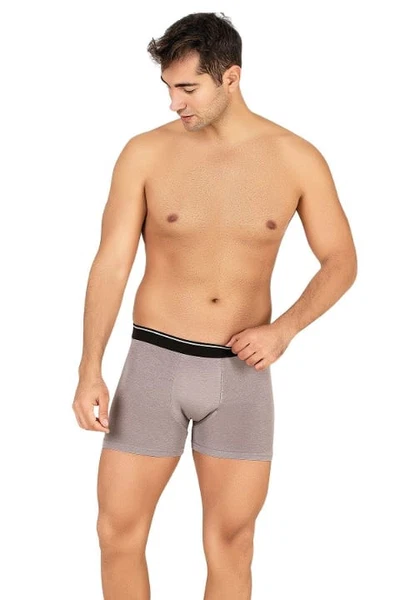 Erkek Modal Pamuklu Boxer Gri Şort Özkan 11256