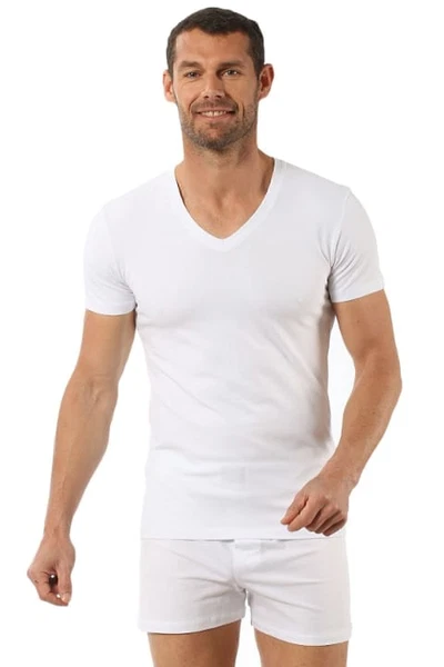 Erkek V Yaka Yarım Kol Pamuklu T-Shirt Fanila Özkan 0273