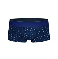Geometrik Desenli Hipster Erkek Boxer Darkzone DZN2450