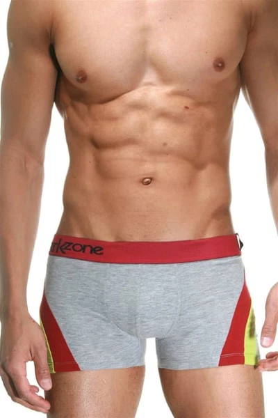 Gri Parçalı Desenli Erkek Boxer Darkzone DZN4103