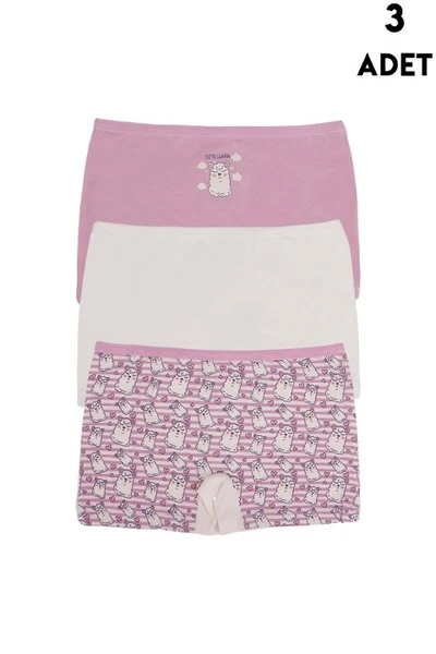 Koza Biat Kız Çocuk Boxer 3'lü KZ77500-290