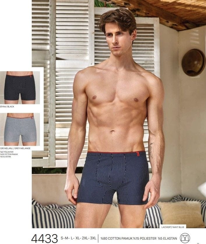 Çizgili Pamuklu Erkek Boxer Berrak 4433