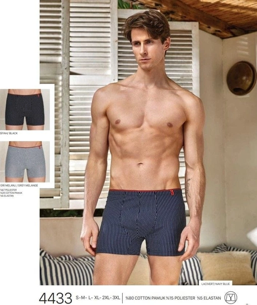 Çizgili Pamuklu Erkek Boxer Berrak 4433