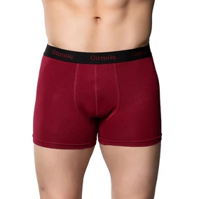 Gümüş Bordo Likralı Bel Lastikli Pamuklu Erkek Boxer Gümüş 3074 - Alternatif Görünüm