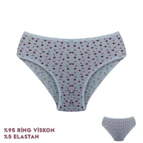Dondeza Desenli Viscon Kadın Slip Külot 12'li Dondeza 264-7