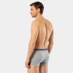 2li Baskılı Erkek Boxer Cacharel 1323 görsel 4