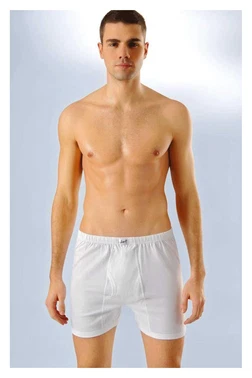 Anıt Erkek Boxer Paçalı Penye Kumaş Anıt 1169 - 6 ADET