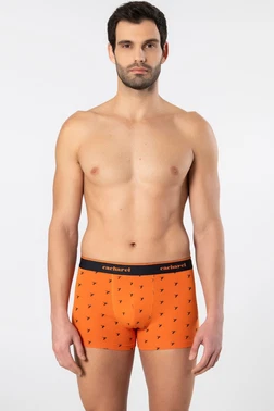 Cacharel Desenli Likralı Erkek Boxer 3lü Cacharel 1339 Ekru No.3 - Alternatif Görünüm