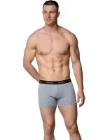Gri Pamuklu Likralı Erkek Boxer Gümüş 3074 Gri
