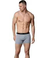 Gri Pamuklu Likralı Erkek Boxer Gümüş 3074 Gri farklı açı