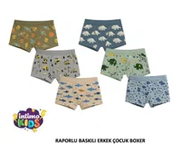Erkek Çocuk Boxer 12'li İntimo 2521