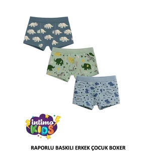 Baskılı Raporlu Erkek Çocuk Boxer 12'li İntimo 2522 - Alternatif Görünüm