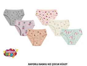 Raporlu Baskılı Kız Çocuk Külot 12'li İntimo 2546