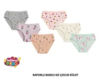 Raporlu Baskılı Kız Çocuk Külot 12'li İntimo 2546