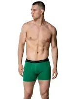 Likralı Bel Lastikli Pamuklu Erkek Boxer Gümüş 3074 Yeşil farklı açı